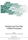 Image for Protozoa and Their Role in Marine Processes