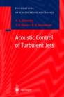 Image for Acoustic Control of Turbulent Jets