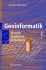 Image for Geoinformatik