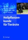 Image for Heilpflanzenkunde Fa1/4r Tierarzte