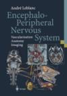 Image for Encephalo-Peripheral Nervous System : Vascularisation Anatomy Imaging