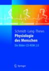 Image for Physiologie DES Menschen : Die Bilder-CD-Rom 2.0