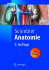 Image for Anatomie : Histologie, Entwicklungsgeschichte, Makroskopische Und Mikroskopische Anatomie, Topographie