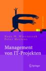 Image for Management Von It-Projekten : Von Der Planung Zur Realisierung