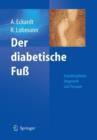 Image for Der Diabetische Fuss : Interdisziplinare Diagnostik und Therapie