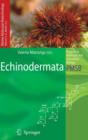 Image for Echinodermata