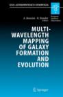 Image for Multiwavelength Mapping of Galaxy Formation and Evolution : Proceedings of the ESO Workshop Held at Venice, Italy, 13-16 October 2003