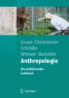 Image for Anthropologie: Ein Einfuhrendes Lehrbuch