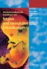 Image for Molekularmedizinische Grundlagen von fetalen und neonatalen Erkrankungen