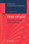 Image for Tribo-fatigue: wear-fatigue damage and its prediction