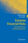 Image for Extreme Financial Risks