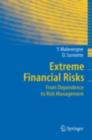 Image for Extreme financial shocks: from normal to extreme