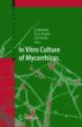 Image for In vitro culture of mycorrhizas