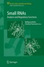 Image for Small RNAs