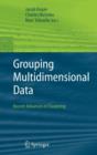 Image for Grouping Multidimensional Data