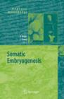 Image for Somatic Embryogenesis