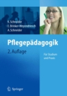 Image for Pflegepadagogik: Fur Studium und Praxis