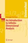 Image for An Introduction to Infinite-Dimensional Analysis