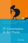 Image for IT Governance in Der Praxis
