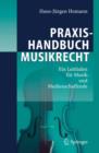 Image for Praxishandbuch Musikrecht : Ein Leitfaden fur Musik- und Medienschaffende