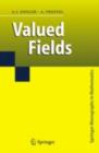 Image for Valued fields