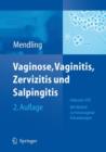 Image for Vaginose, Vaginitis, Zervizitis Und Salpingitis