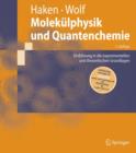 Image for Molekulphysik und Quantenchemie : Einfuhrung in die experimentellen und theoretischen Grundlagen