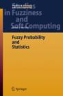 Image for Fuzzy Probability and Statistics