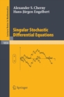 Image for Singular stochastic differential equations