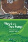 Image for Wood and Tree Fungi : Biology, Damage, Protection, and Use