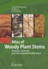 Image for Atlas of Woody Plant Stems: Evolution, Structure, and Environmental Modifications