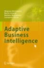 Image for Adaptive business intelligence