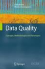 Image for Data quality: concepts, methodologies and techniques