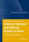 Image for Sediment dynamics and pollutant mobility in rivers: an interdisciplinary approach