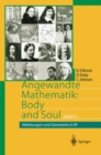 Image for Angewandte Mathematik: Body and Soul: Band 1: Ableitungen und Geometrie in IR3
