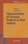 Image for Characterization of corrosion products on steel surfaces