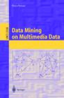 Image for Data mining on multimedia data