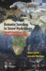 Image for Remote Sensing in Snow Hydrology