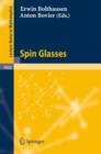 Image for Spin Glasses