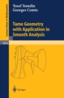 Image for Tame geometry with application in smooth analysis
