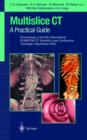 Image for Multislice CT -  A Practical Guide : Proceedings of the 5th International SOMATOM CT Scientific User Conference Zurich June 2000