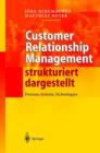 Image for Customer Relationship Management strukturiert dargestellt