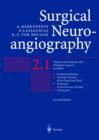 Image for Surgical neuroangiographyVol. 2: Clinical and interventional aspects in adults