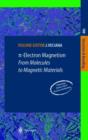 Image for p-Electron Magnetism : From Molecules to Magnetic Materials