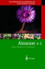 Image for Illustrated Handbook of Succulent Plants: Aizoaceae A-E