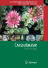 Image for Illustrated Handbook of Succulent Plants: Crassulaceae