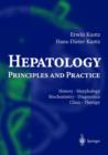 Image for Hepatology, Principles and Practice