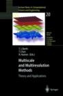 Image for Multiscale and Multiresolution Methods : Theory and Applications