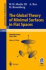 Image for The global theory of minimal surfaces in flat surfaces  : lectures given at the 2nd session of the Centro Internazionale Matematico Estivo (C.I.M.E.) held in Martina Franca, Italy, June 7-14, 1999