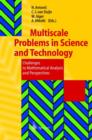 Image for Multiscale Problems in Science and Technology